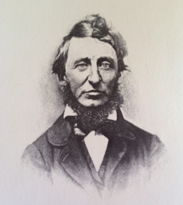 Henry David Thoreau: Photograph of a Portrait from Life