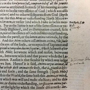 Marginal notes in the first book of Sir Walter Ralegh's History of the World, 1614