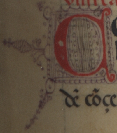 Decorated capital letter C. <em>Regla de la Sagrada Orden de Penitencia. </em>