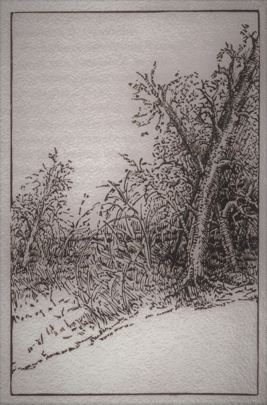 Illustration from Thoreau's <em>Two Fragments from the Journals</em>