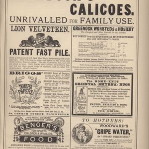8th page of advertisements in Woman's World Dec 1887