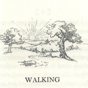 Walking0026 (2).jpg