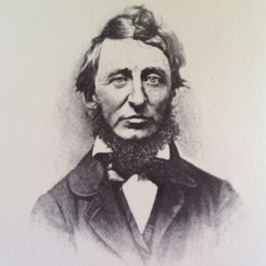 Thoreau.jpg