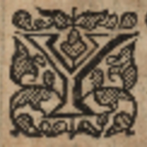 Decorative Initial Y Group 1.PNG